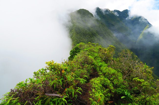 Devils Ridge Pass Mount Aorai hike Tahiti French Polynesia