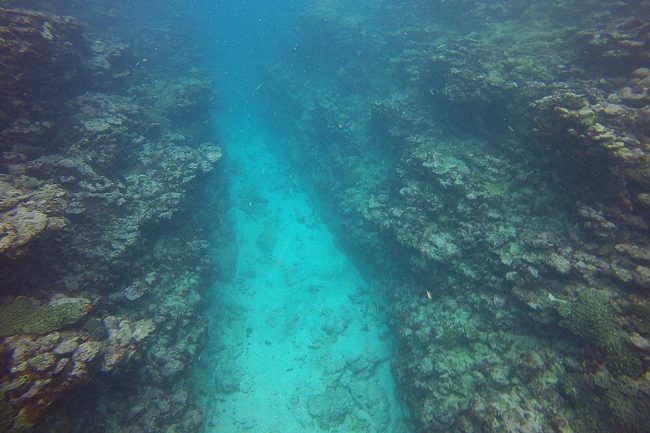 Diving in Rarotonga Cook Islands through lagoon passage