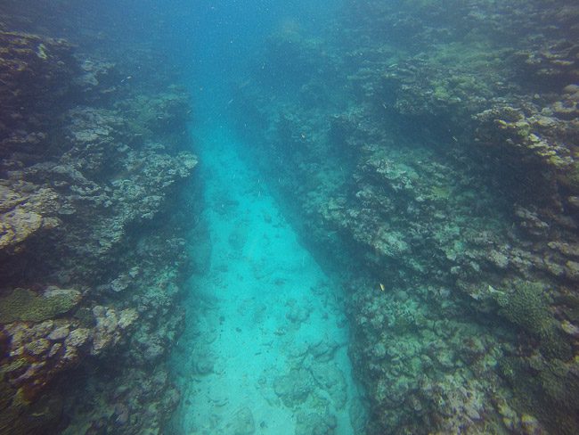 Diving in Rarotonga Cook Islands through lagoon passage