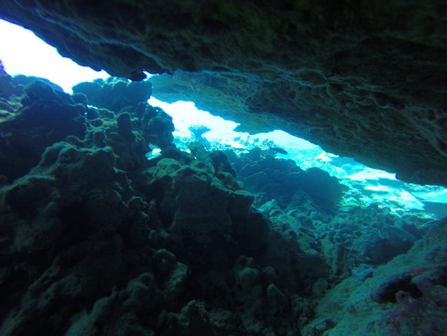 Diving in Rarotonga Cook Islands underwater cavern