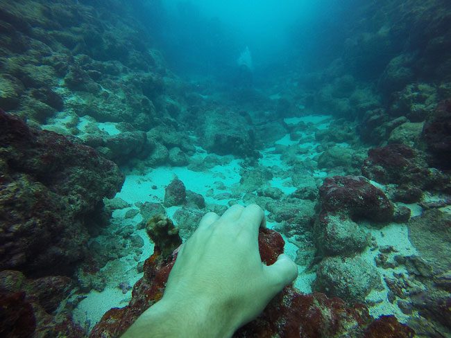 Diving through lagoon passage in Rarotonga Cook Islands