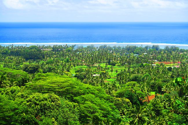 Highland Paradise Rarotonga Cook Islands closeup view