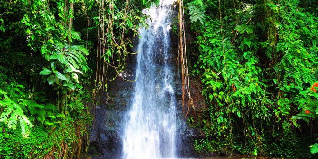 Waterfall in Vaipahi gardens Tahiti French Polynesia