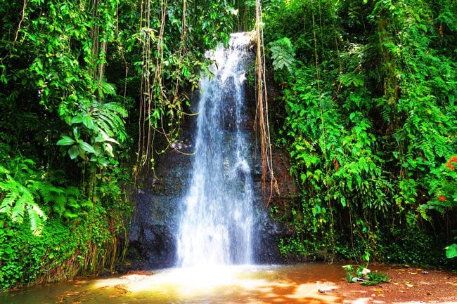 Waterfall in Vaipahi gardens Tahiti French Polynesia