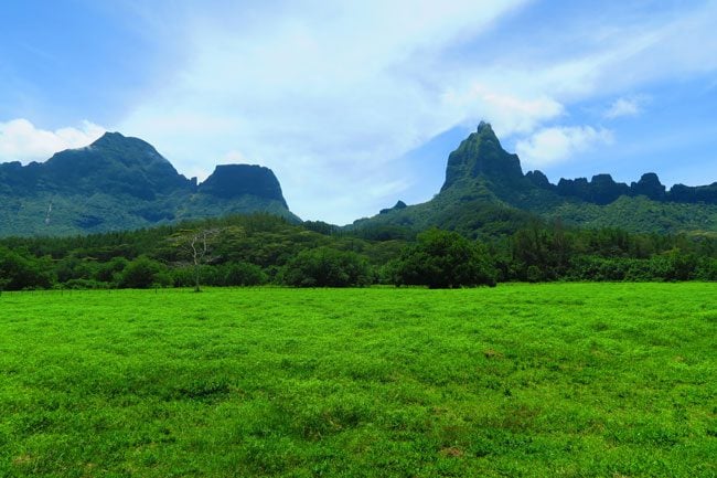 Cycling in Moorea view of mountains