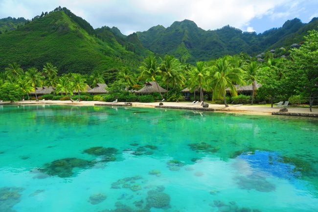 Dolphin center Intercontinental Resort Moorea French Polynesia