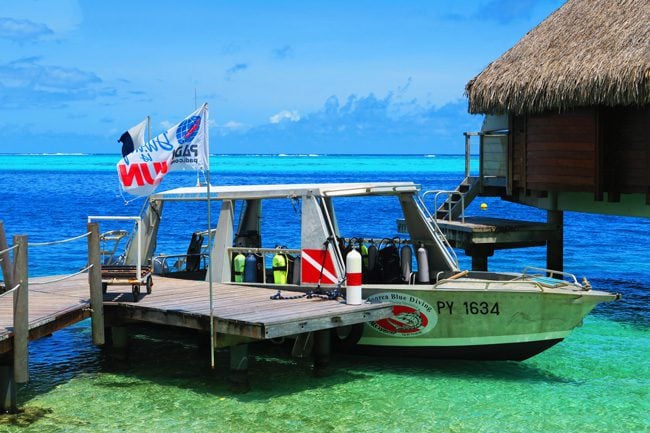 Moorea blue diving french polynesia