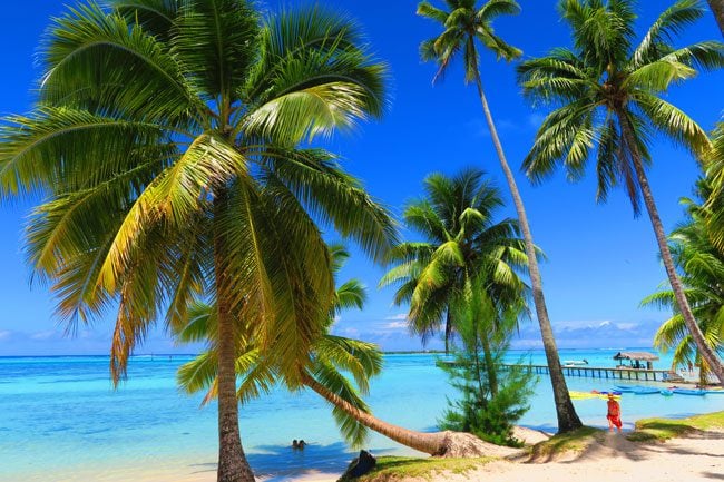Motu beach Les Tipaniers Moorea French Polynesia