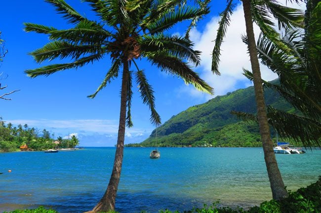 Opunohu Bay Moorea French Polynesia