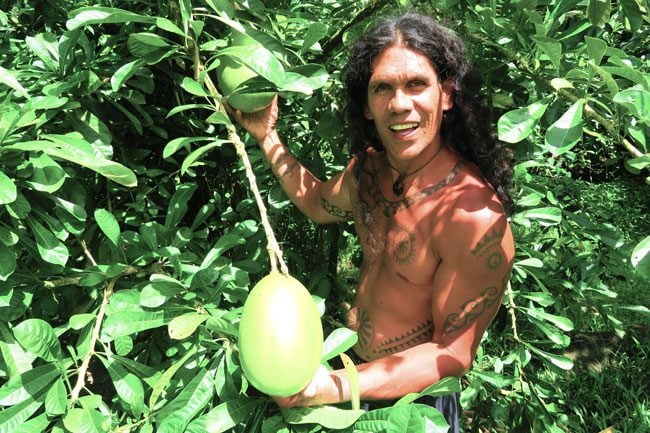 Papenoo Valley tahiti tropical fruits