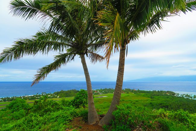 Temae hike Moorea French Polynesia coconuts