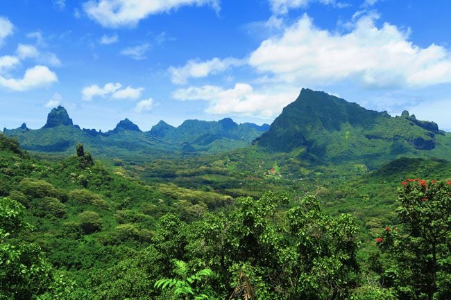 Vaiare to Pao Pao hike Moorea French Polynesia Opunohu Valley