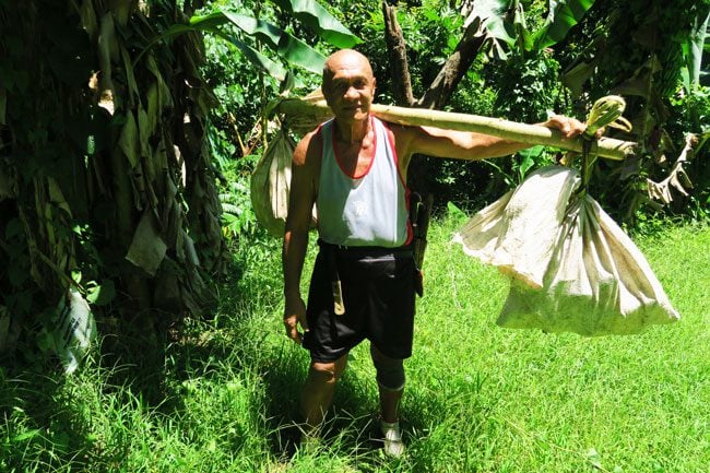 Vaiare to Pao Pao hike Moorea French Polynesia farmer