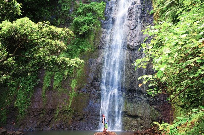 Waterfall in Moorea French Polynesia