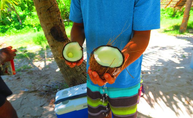 Lagoon tour in Maupiti French Polynesia coconut open