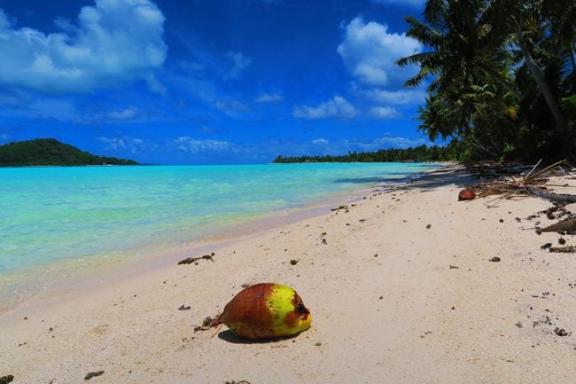 Motu Auira Maupiti French Polynesia coconut on tropical beach