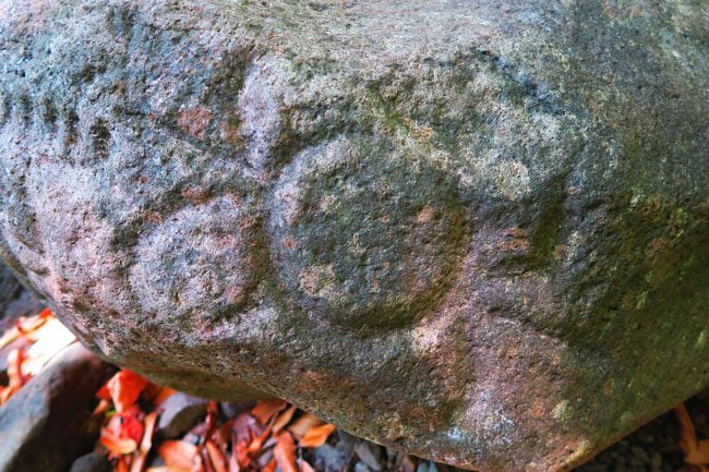 Petroglyph on Maupiti French Polynesia