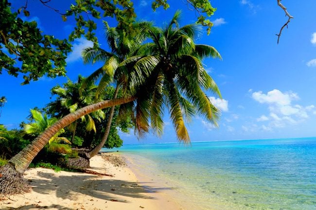 Avea Bay tropical beach Huahine Island French Polynesia palm tree