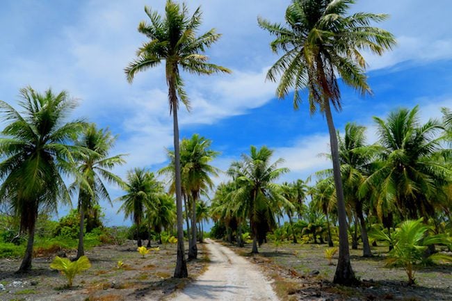 Dirt road Fakarava Atoll French Polynesia