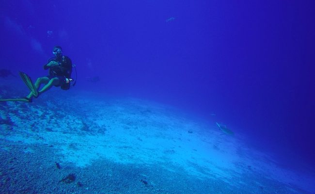 Diving Fakarava Atoll French Polynesia North Pass Garuae