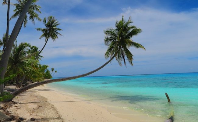 PK9 Tropical Beach Fakarava Atoll French Polynesia