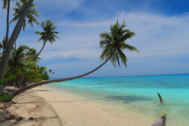 Les Sables Roses, Fakarava, French Polynesia