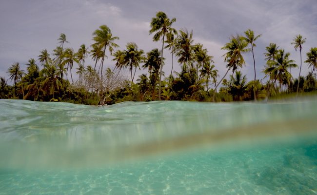 PK9 Tropical Beach Fakarava Atoll French Polynesia