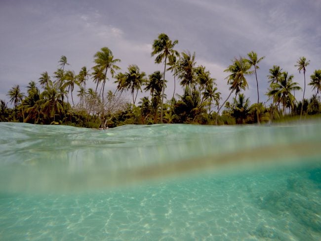 PK9 Tropical Beach Fakarava Atoll French Polynesia