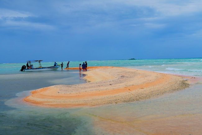 Pink Sand beach Fakarava Atoll French Polynesia 1