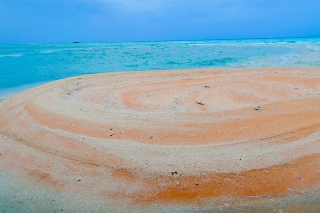 Pink Sandbar Fakarava Atoll French Polynesia