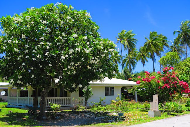 Rotoava village Fakarava Atoll French Polynesia local houses