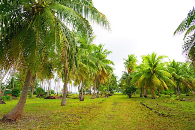 Tetamanu Village main street Fakarava Atoll French Polynesia