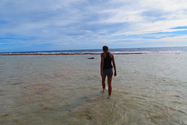 Vaiani looking for bait Fakarava Atoll French Polynesia