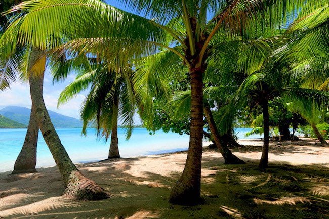 lagoon tour wild palm trees Huahine Island French Polynesia