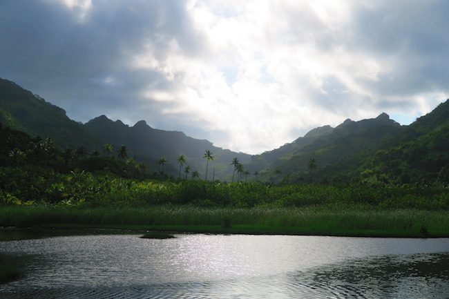 sunset over palm trees Huahine Island French Polynesia