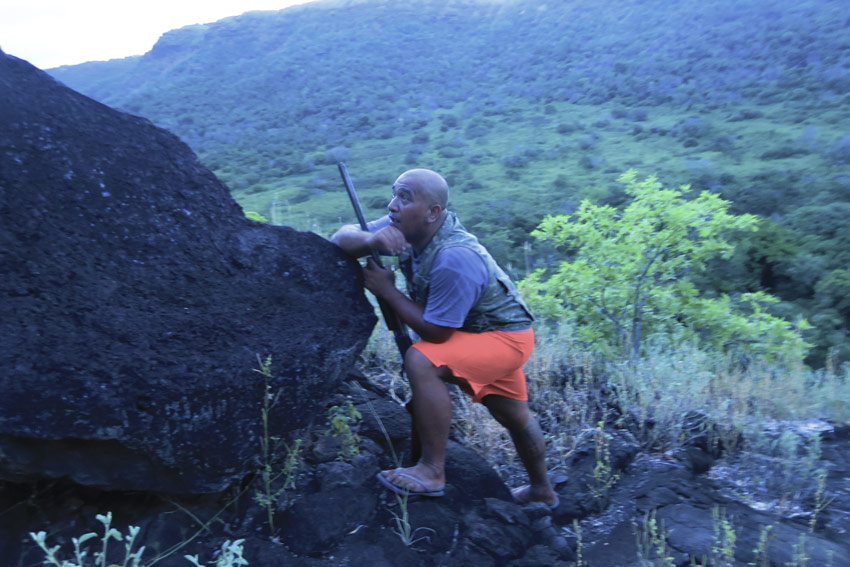 Alvane hiding Nuku Hiva Marquesas Islands French Polynesia