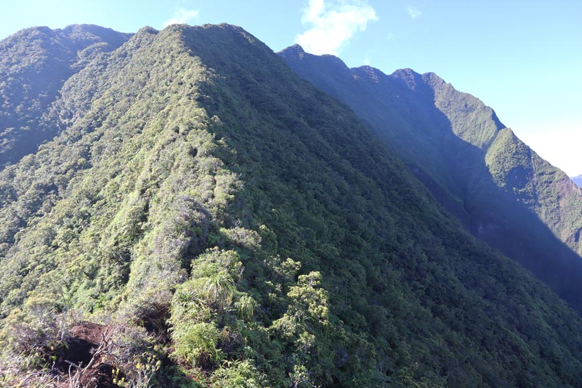 Devils ridge pass Mount Aorai hike Tahiti - French Polynesia