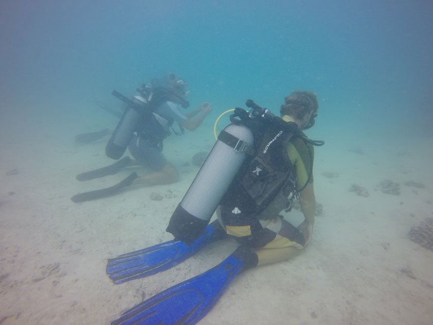 Diving in Maupiti French Polynesia