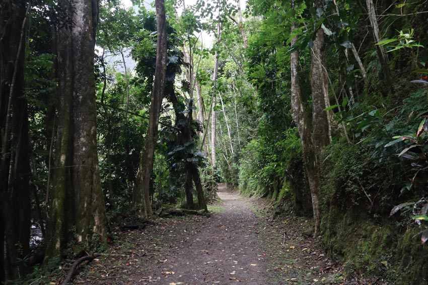 Fautaua Valley Hike Tahiti French Polynesia