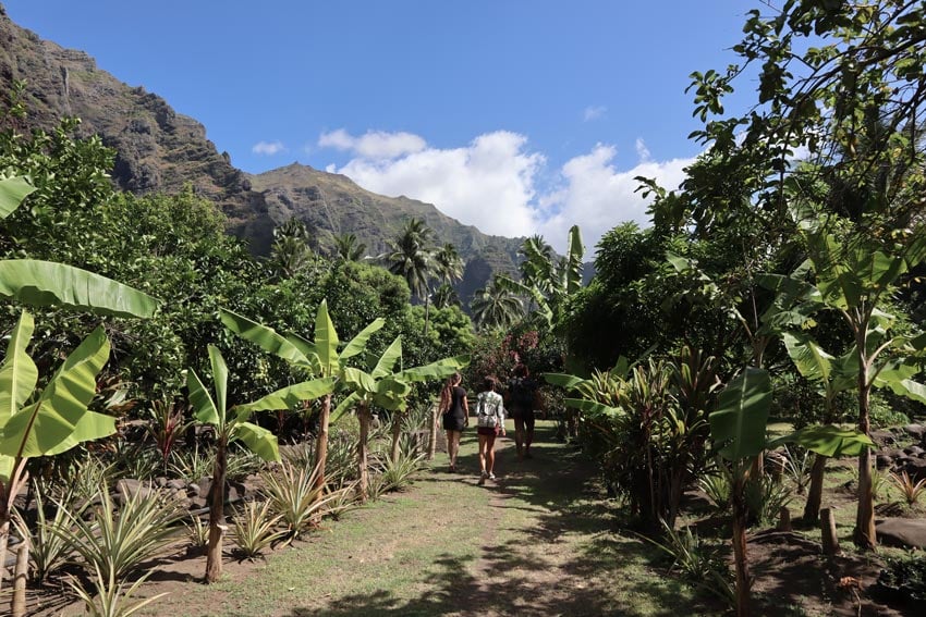 Hakaui Valley Hike Nuku Hiva French Polynesia