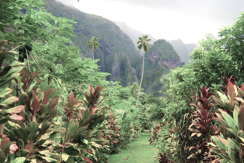 Hakaui Valley Nuku Hiva French Polynesia