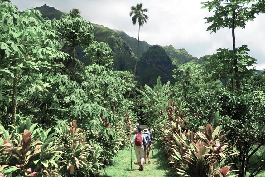 Hiking in Hakaui Valley Nuku Hiva French Polynesia