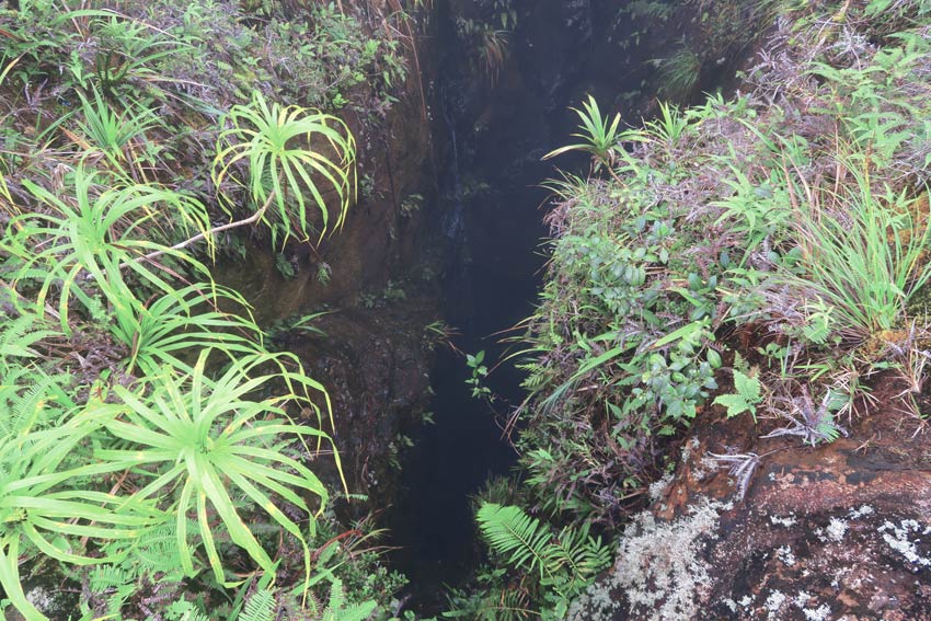 Lava Tube in Raiatea French Polynesia