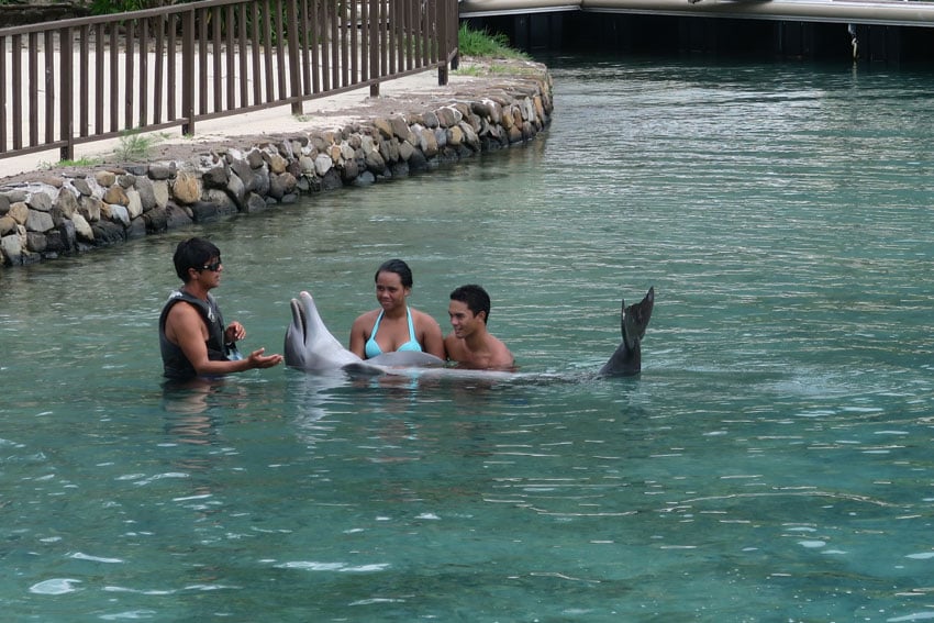 Moorea Dolphin center French Polynesia