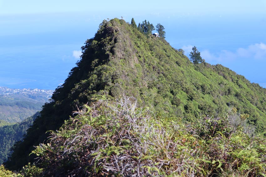 Mount Aorai hike - first overnight shelter - Tahiti - French Polynesia