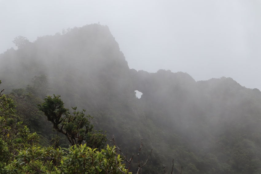 Rope assisted section Pierced Mountain hike Moorea French Polynesia