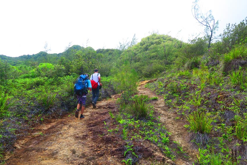 Tiare Apetahi Temahani Plateau Hike Raiatea French Polynesia