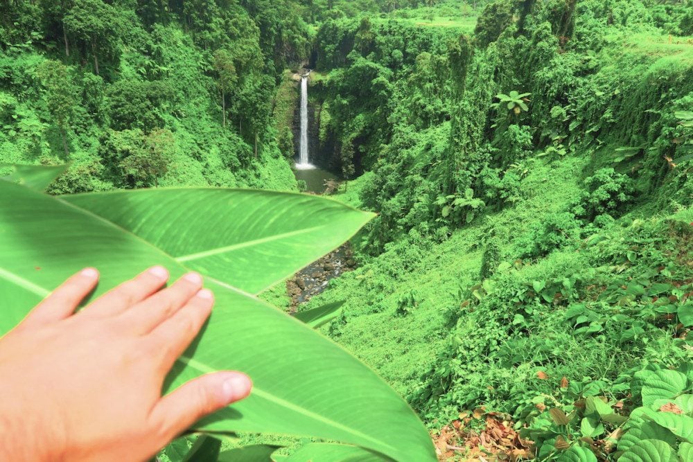 Waterfall, Upolu Island - Samoa