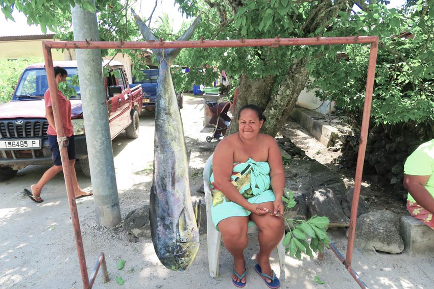 mahi mahi fish in Maupiti French Polynesia