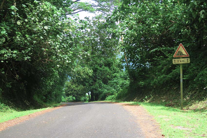 steep road in Huahine French Polynesia